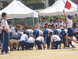 IMG_5279_R.JPG