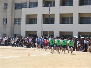 IMG_5337_R.JPG