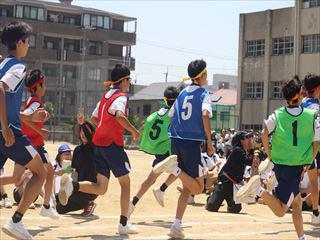 IMG_5397_R.JPG