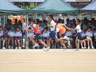 IMG_6061_R.JPG