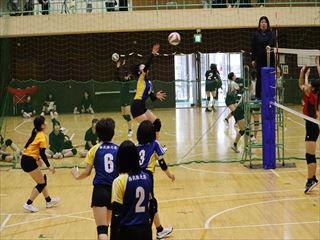 IMG_7604.JPG