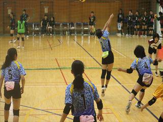 IMG_7949_R.JPG