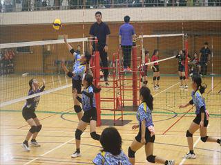 IMG_7969_R.JPG