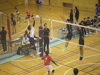IMG_8323_R.JPG