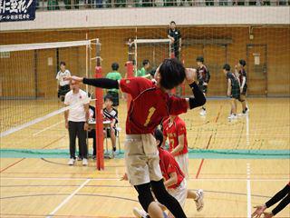 IMG_8652.JPG