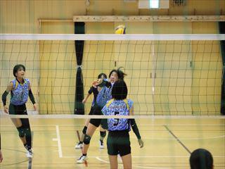 IMG_8778.JPG