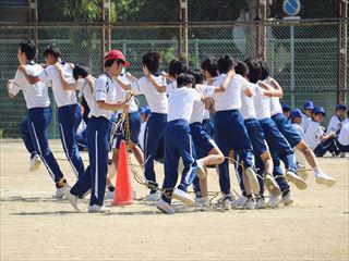 IMG_9731.JPG