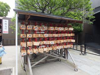 DSCF9796.jpg