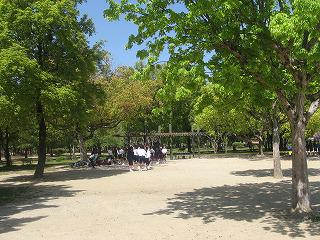 IMG_1045.jpg