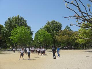 IMG_1049.jpg