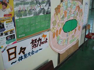 IMG_1063.jpg