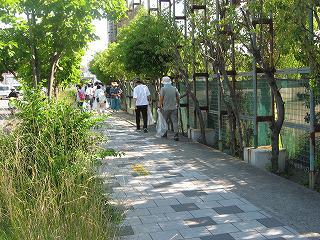 IMG_1068.jpg