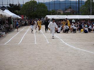 P6082161.jpg