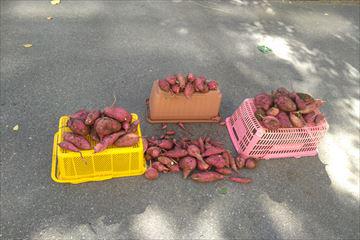 1000015921_R.jpg