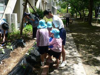P1330250_R.JPG