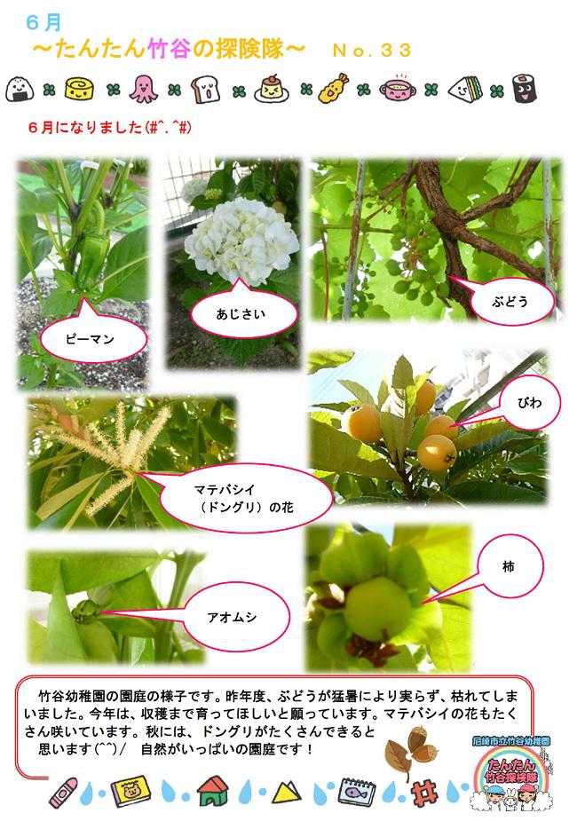 R06_takeya_0603_1.jpg