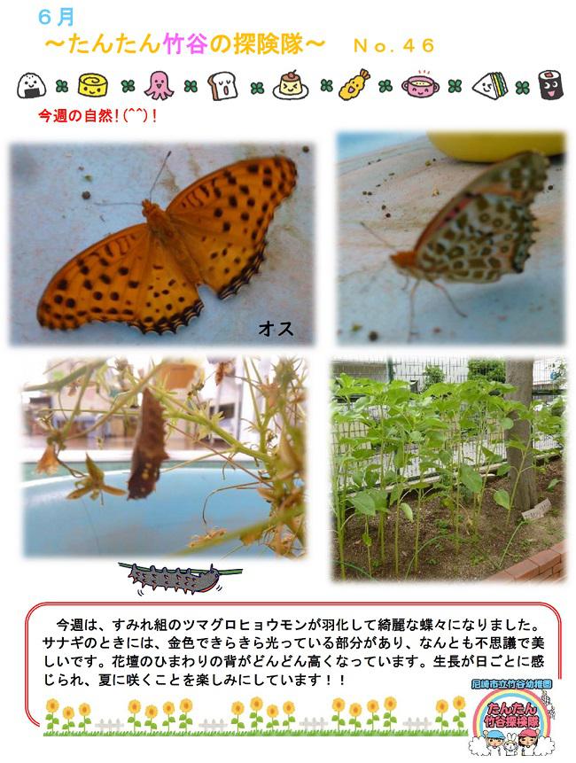 R06_takeya_0621_1.jpg