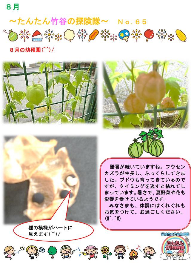 R06_takeya_0805_1.jpg