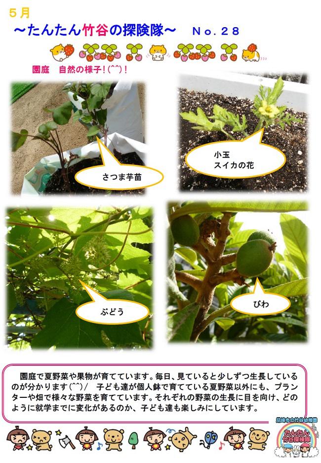 R07_takeya_0523_1.jpg