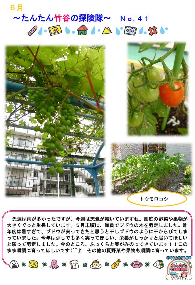 R07_takeya_0617_2.jpg