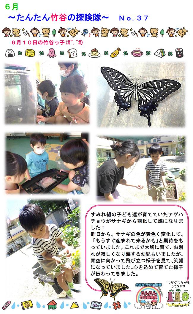 R08_sonoda_0610_2.jpg