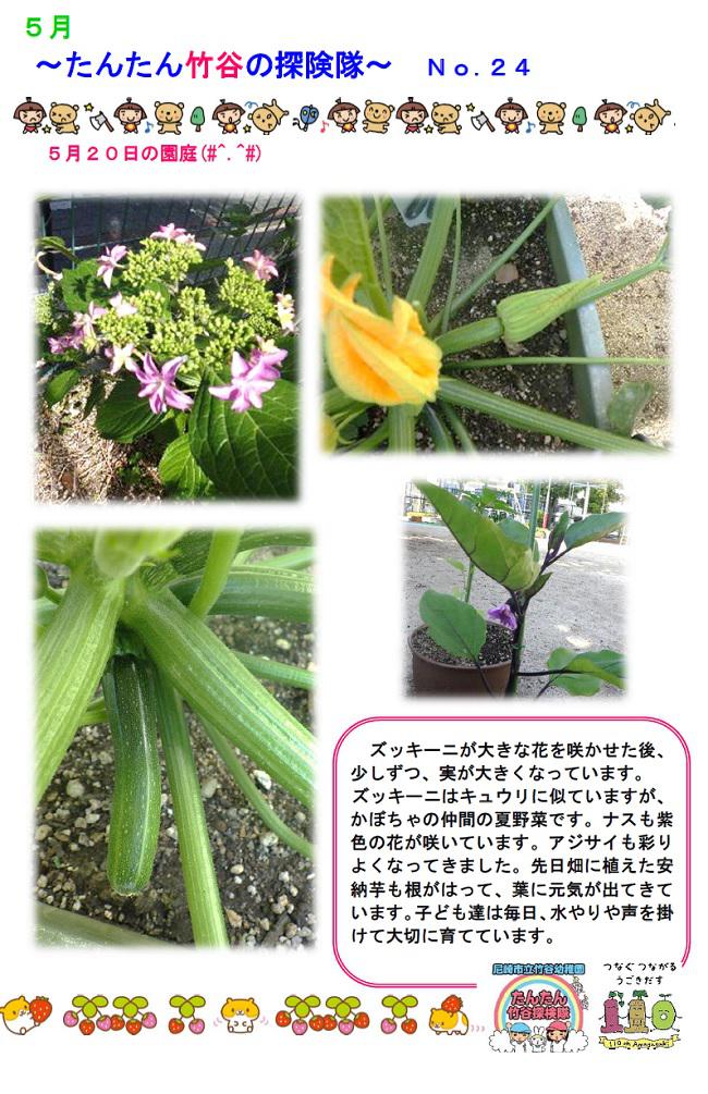 R08_takeya_0520_1.jpg