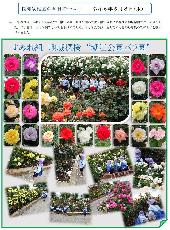 R06_nagasu_0508_1.jpg