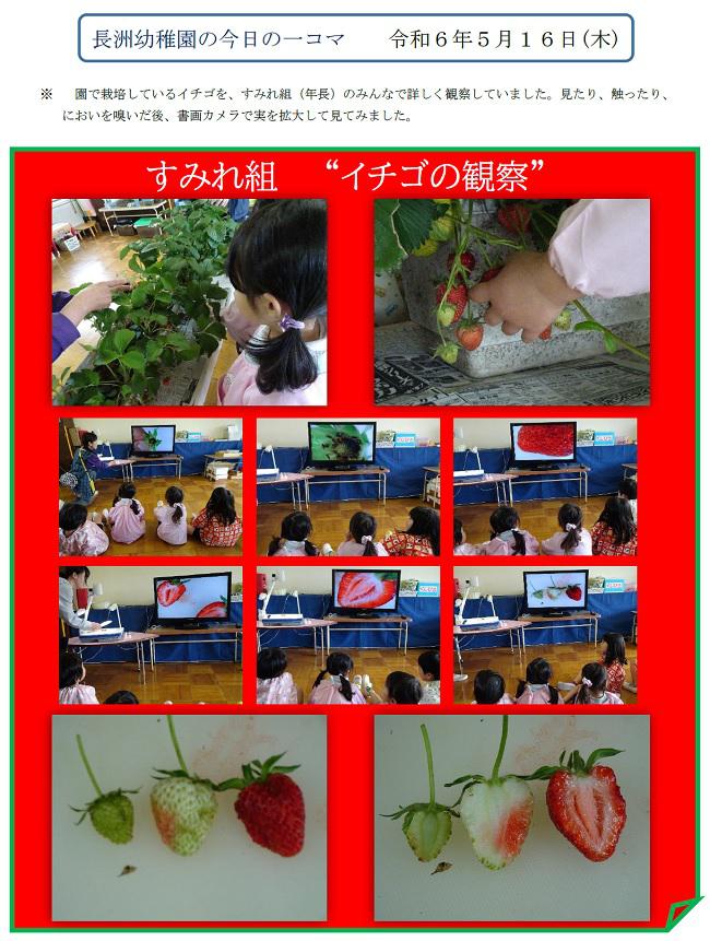 R06_nagasu_0516_1.jpg