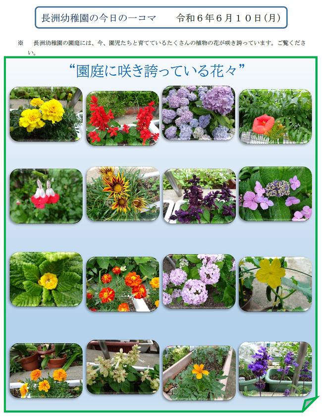 R06_nagasu_0610_1.jpg