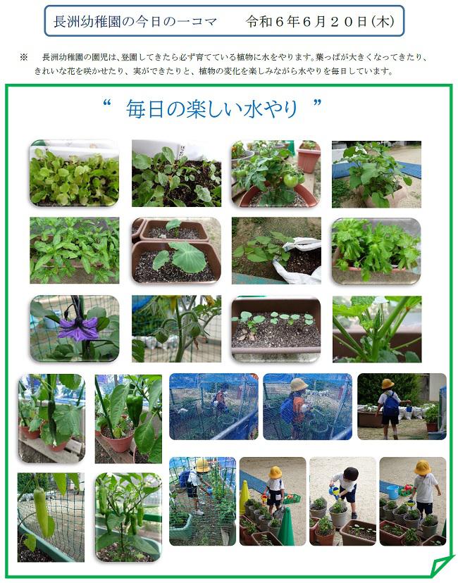 R06_nagasu_0620_1.jpg