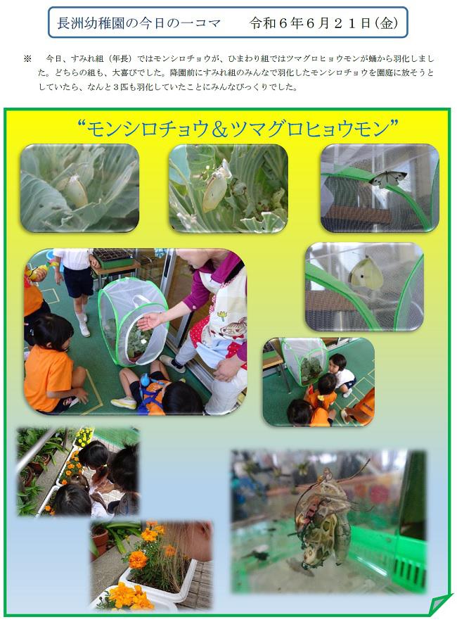 R06_nagasu_0621_1.jpg