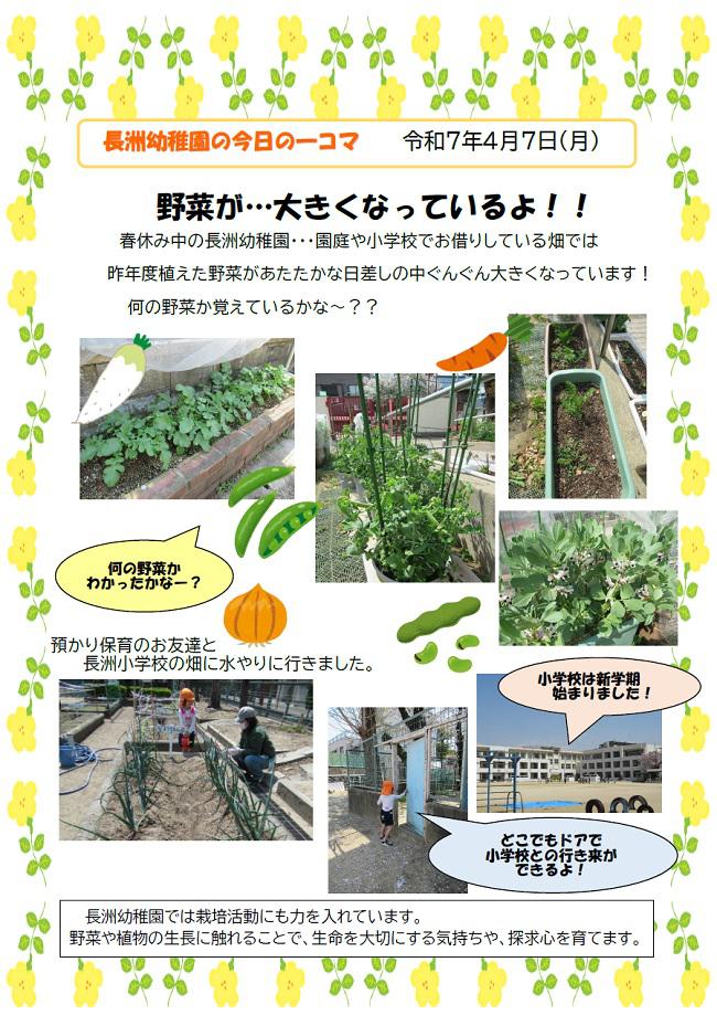 R07_nagasu_0407_1.jpg