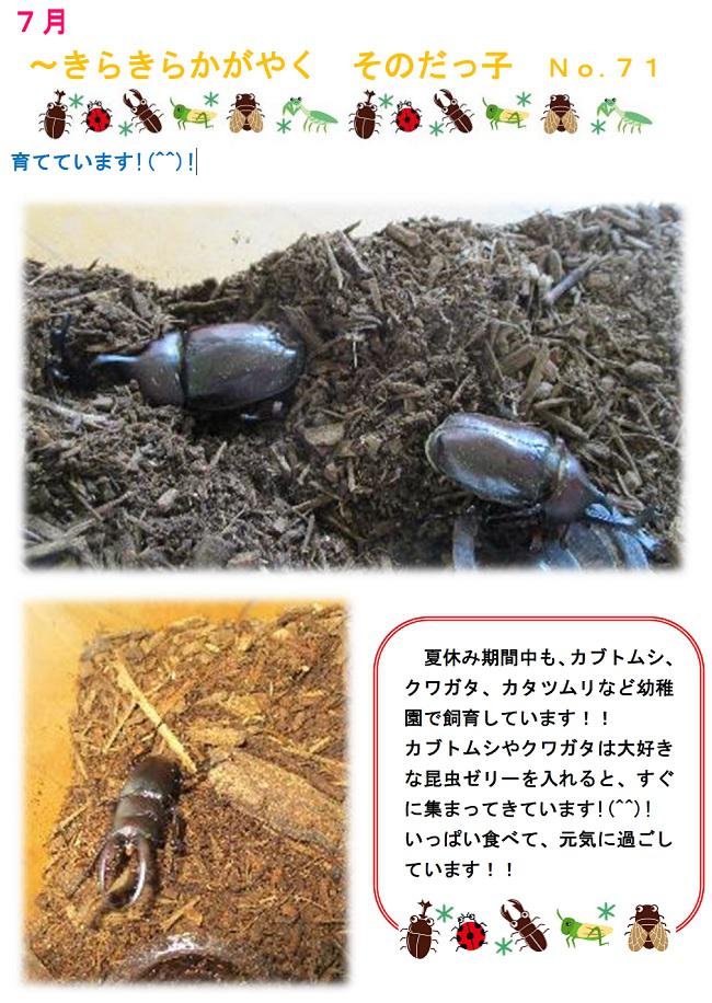 R04_sonoda_0727_1.jpg