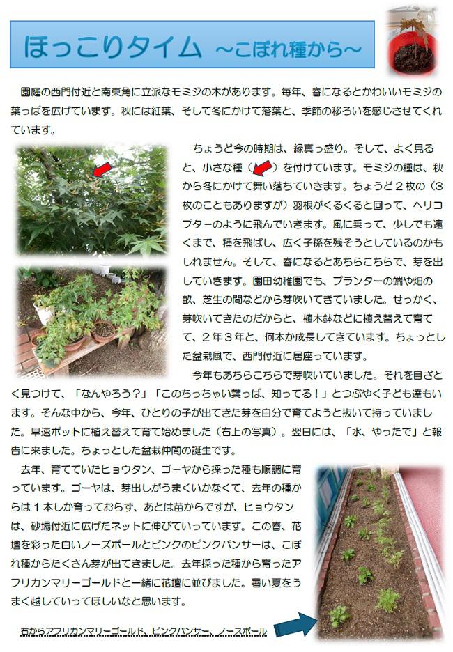 R07_sonoda_0624_1.jpg