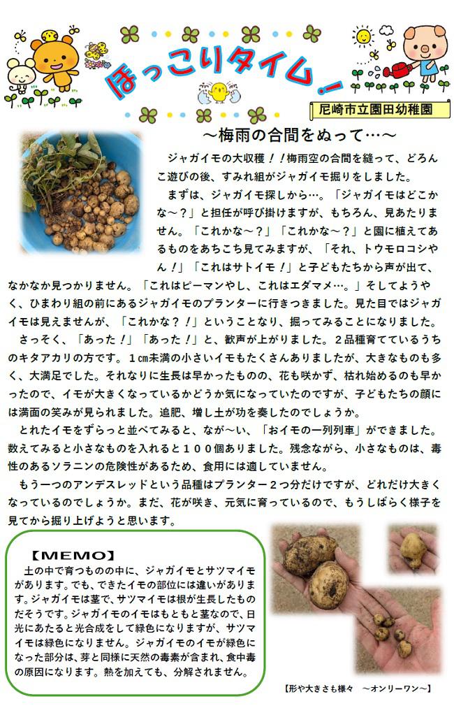 R08_sonoda_0617_1.jpg