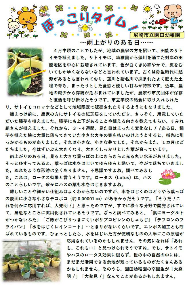 R08_sonoda_0623_1.jpg