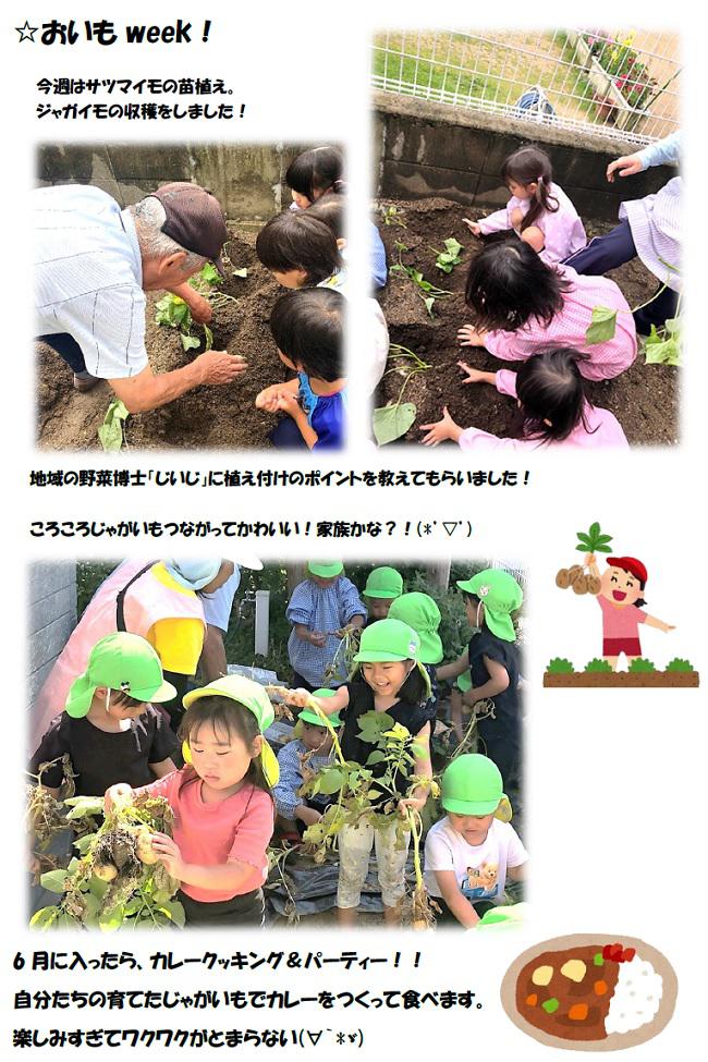 R08_sonowakita_0522_1.jpg