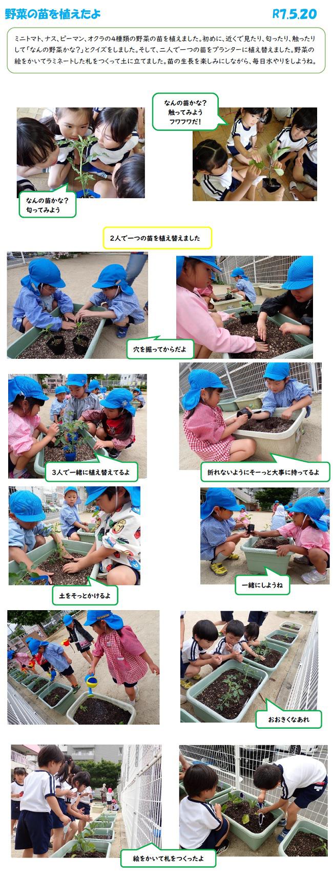 R07_ozono_0519_1.jpg