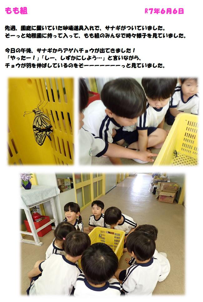 R07_ozono_0611_1.jpg