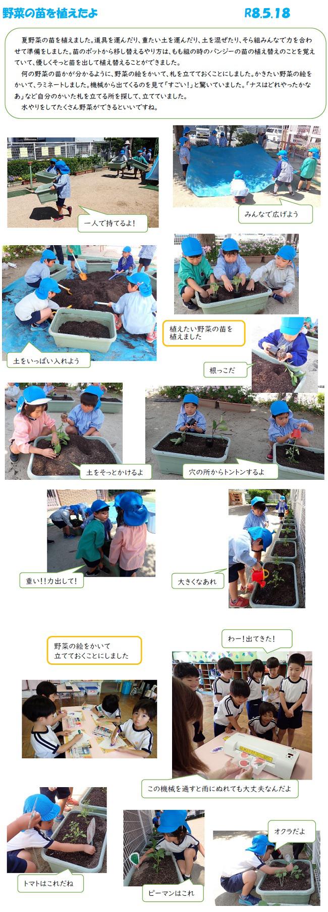 R8_ozono_0518_1.jpg