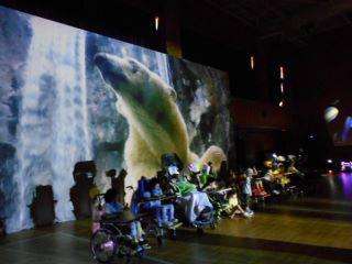 DSCN8717.JPG
