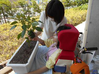 DSCN1199_R.JPG