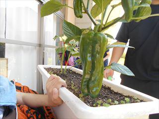 DSCN1204_R.JPG