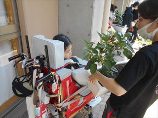 DSCN1209_R.JPG