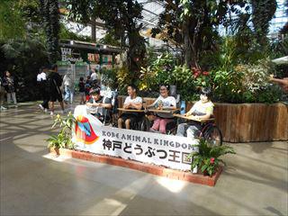 DSCN2725_R.JPG