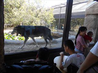 DSCN2740_R.JPG