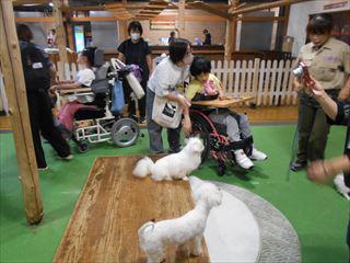 DSCN2777_R.JPG
