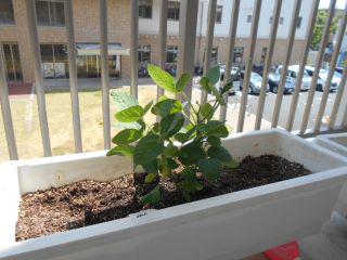 DSCN7538.JPG