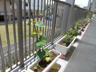 DSCN8483.JPG