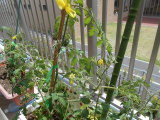 DSCN8486.JPG